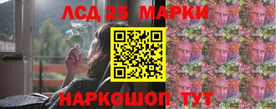 крисы Будённовск