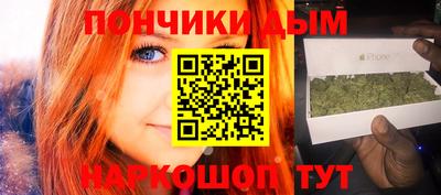 крисы Будённовск