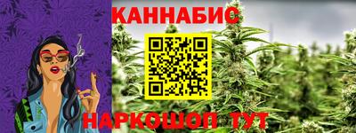 крисы Будённовск