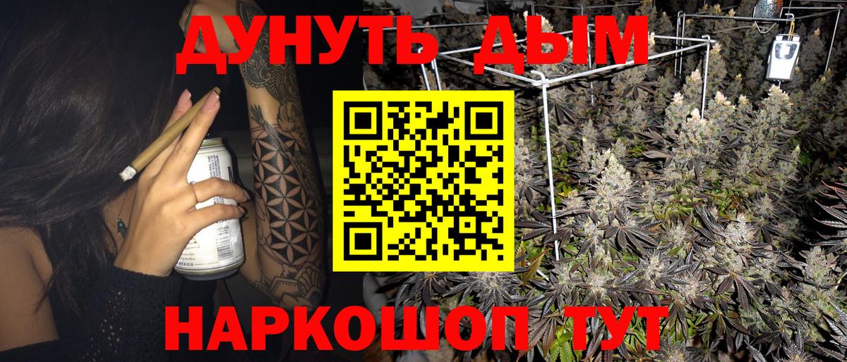 Каннабис ГИДРОПОН Чернушка